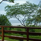 view from the hammock